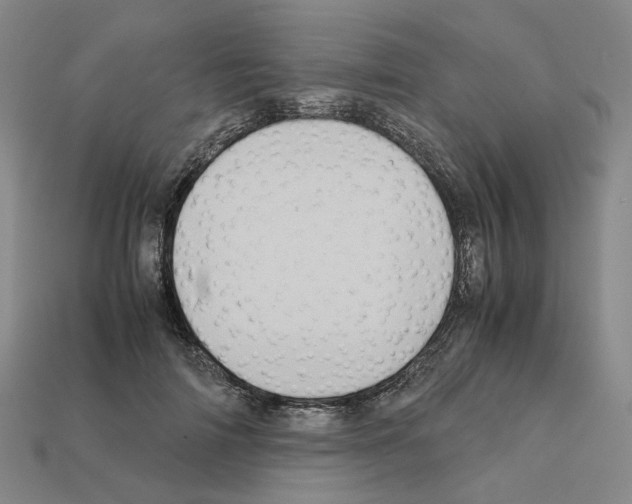 X0000111900698200909071136