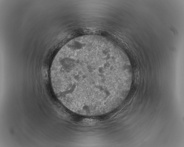 X0000111900699200909071136