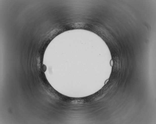 X0000111900700200909071136