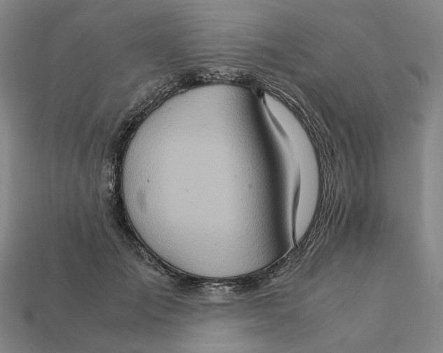 X0000111900701200909071136