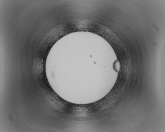 X0000111900702200909071136