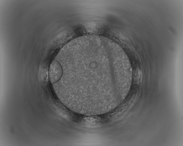 X0000111900703200909071136