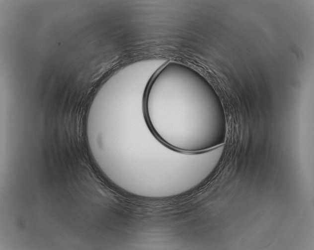 X0000111900704200909071136