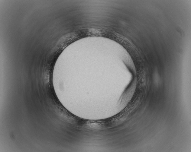 X0000111900706200909071136