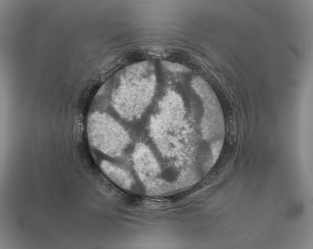 X0000111900707200909071136