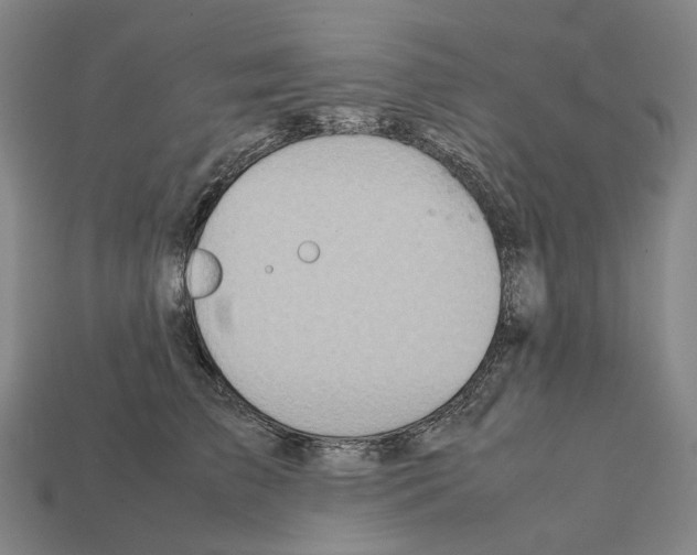 X0000111900709200909071136