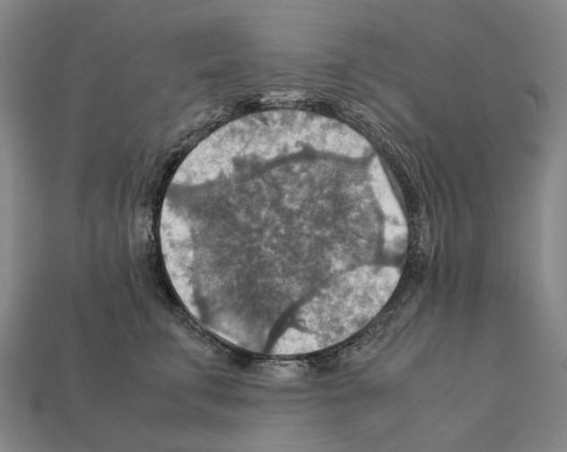 X0000111900711200909071136