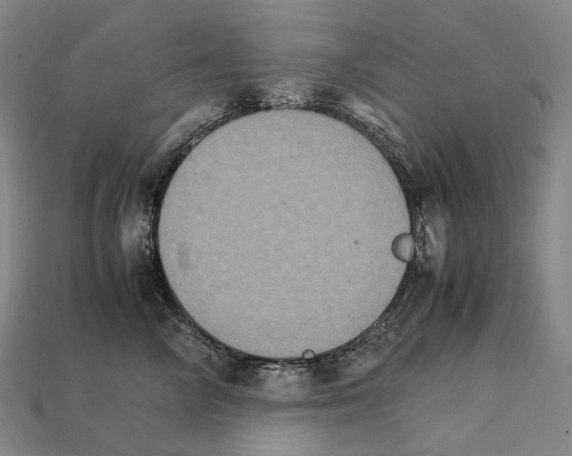 X0000111900714200909071136