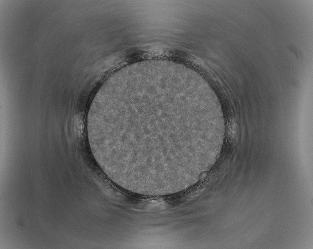 X0000111900715200909071136