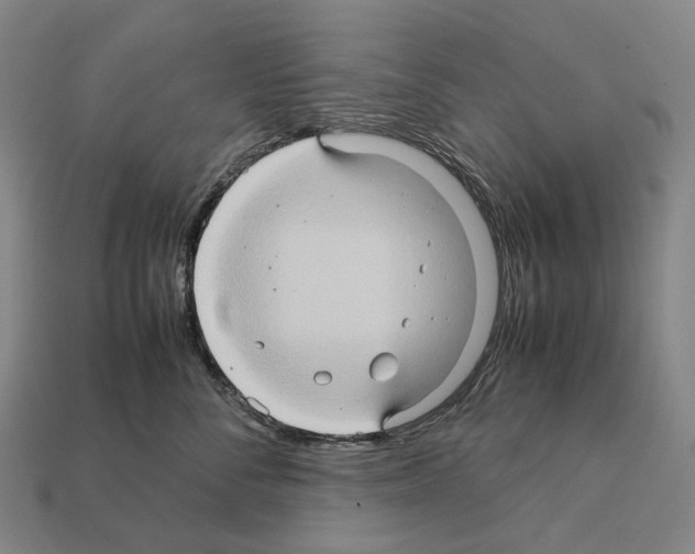 X0000111900716200909071136