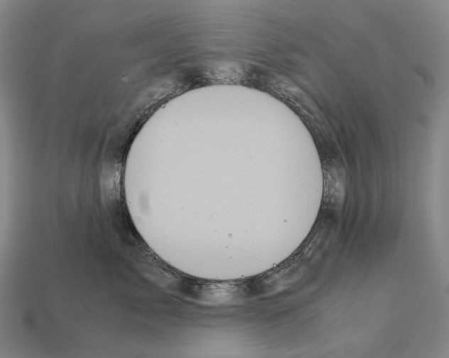 X0000111900717200909071136