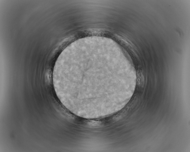 X0000111900718200909071136