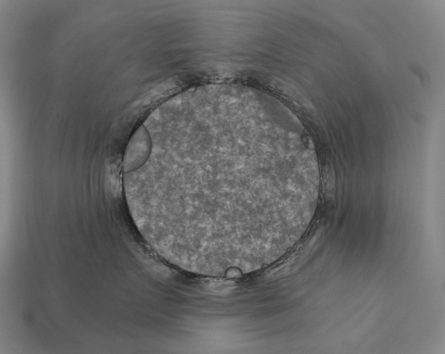 X0000111900719200909071136