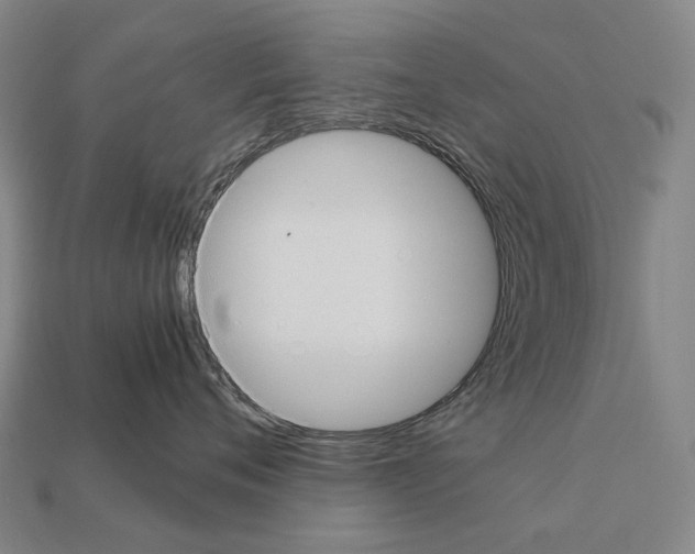 X0000111900720200909071136