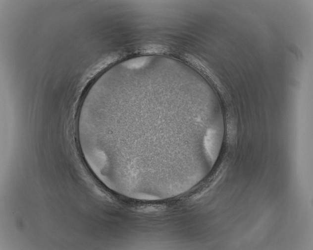 X0000111900721200909071135