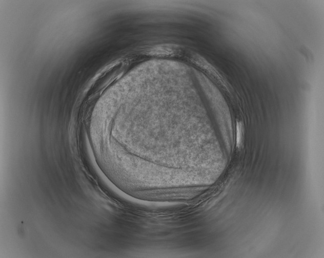 X0000111900723200909071135