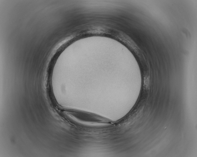 X0000111900724200909071135