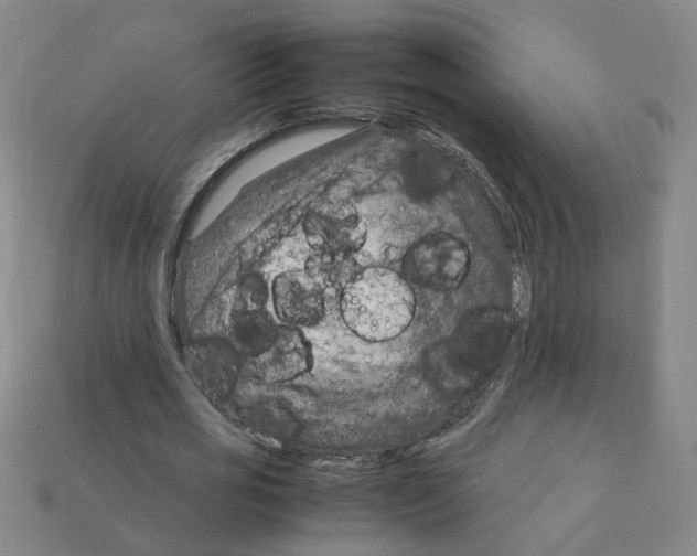 X0000111900725200909071135