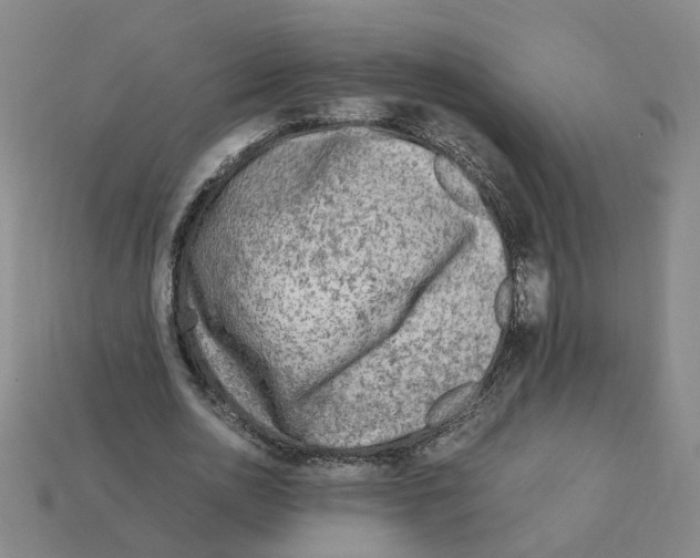 X0000111900726200909071135