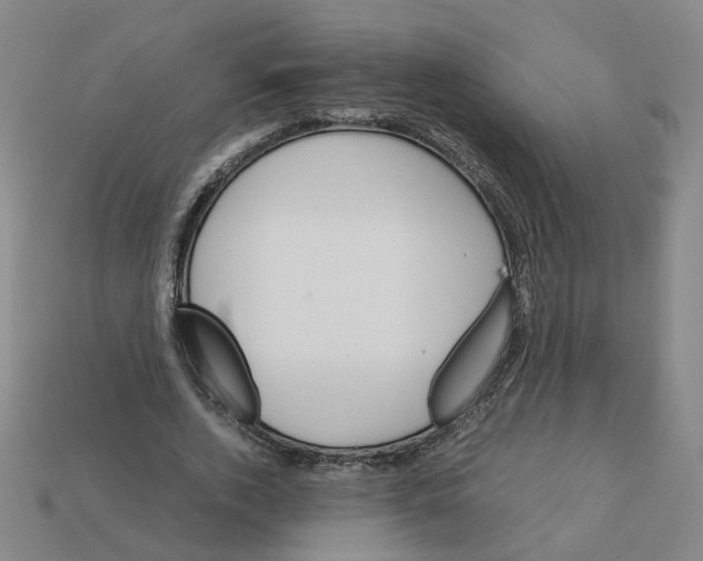 X0000111900728200909071135