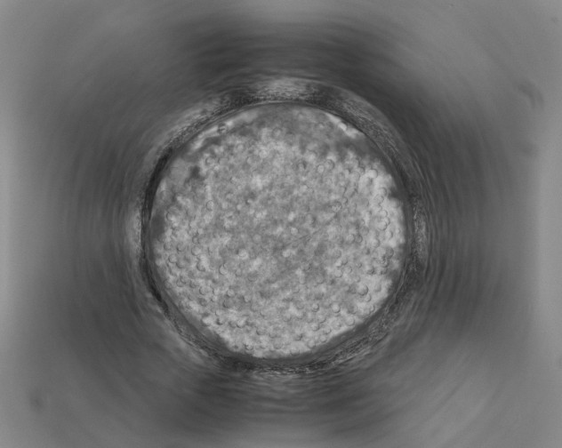 X0000111900729200909071135