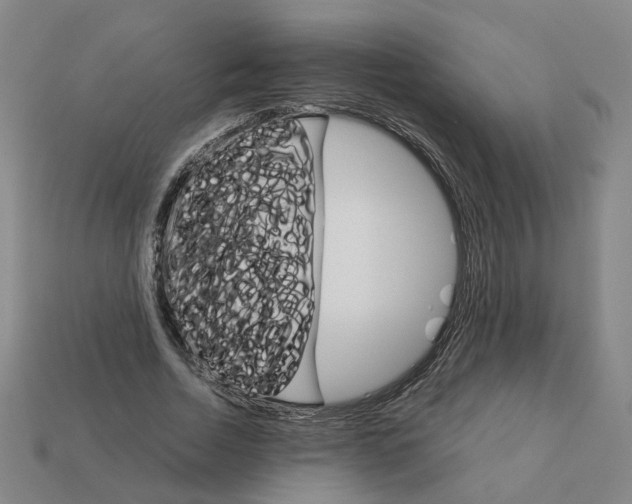 X0000111900730200909071135