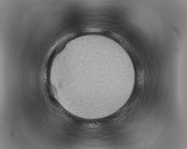 X0000111900731200909071135