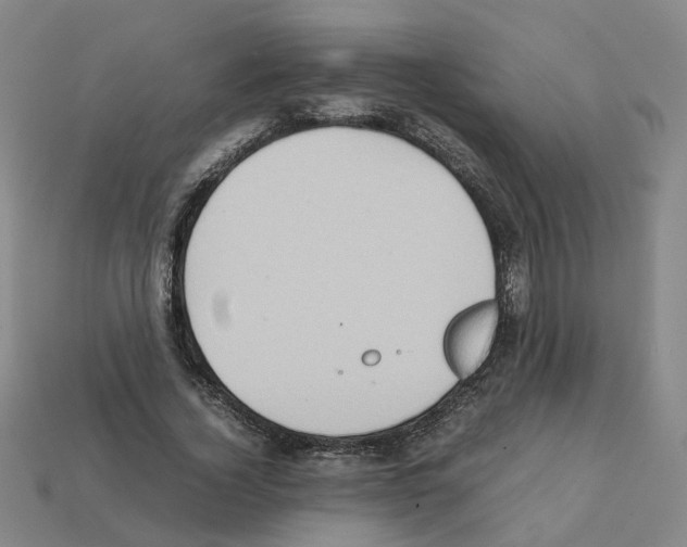 X0000111900732200909071135