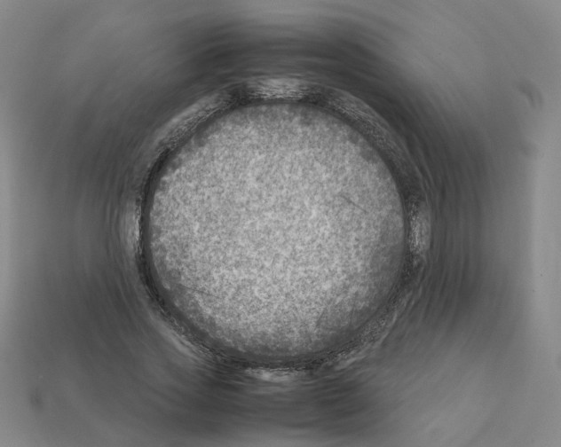 X0000111900733200909071135