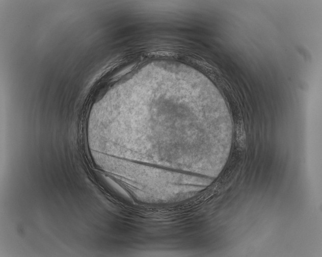 X0000111900735200909071135