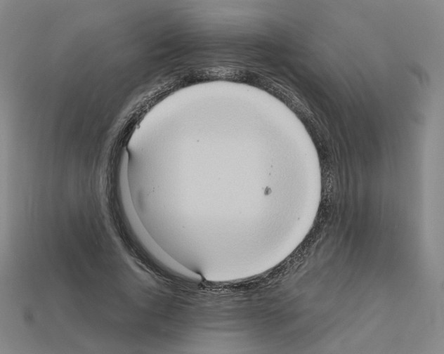 X0000111900736200909071135