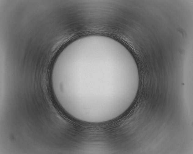 X0000111900740200909071135