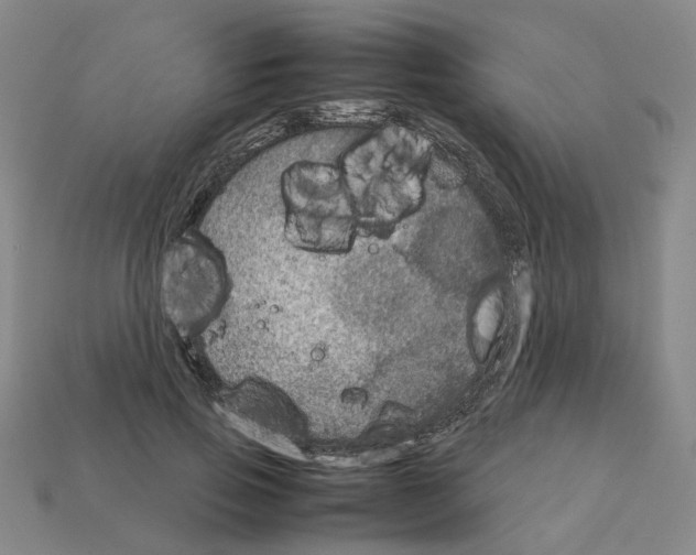 X0000111900741200909071135