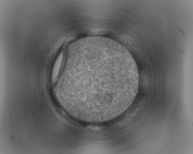 X0000111900742200909071135