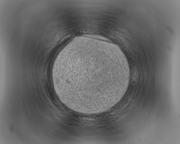 X0000111900743200909071135