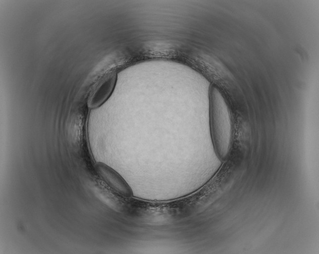 X0000111900744200909071135