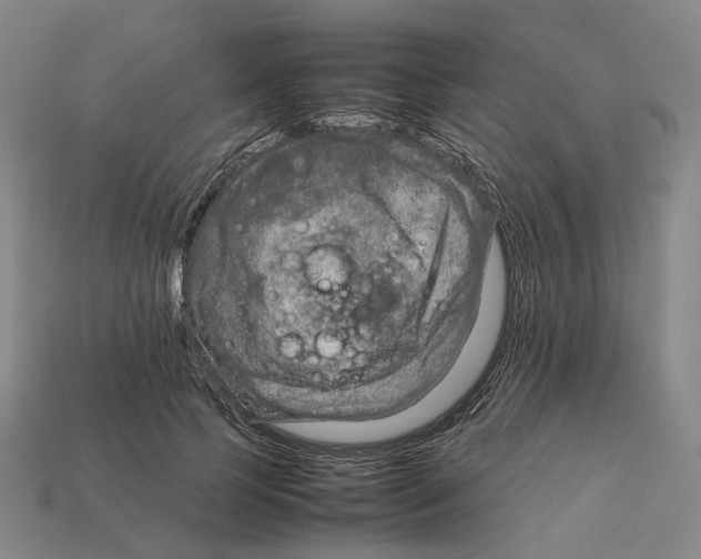 X0000111900745200909071135