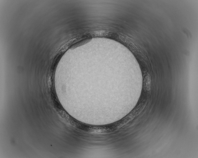 X0000111900746200909071135