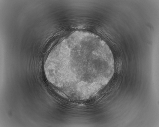 X0000111900747200909071135