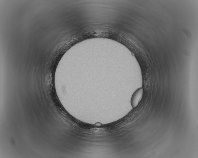 X0000111900748200909071135