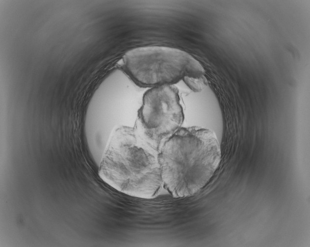 X0000111900749200909071135