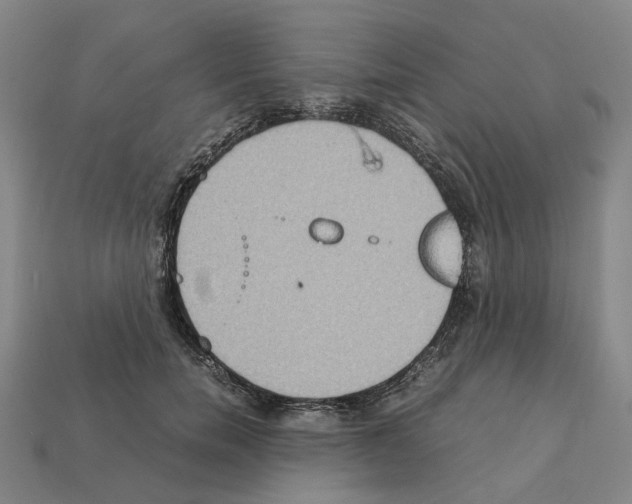 X0000111900750200909071135