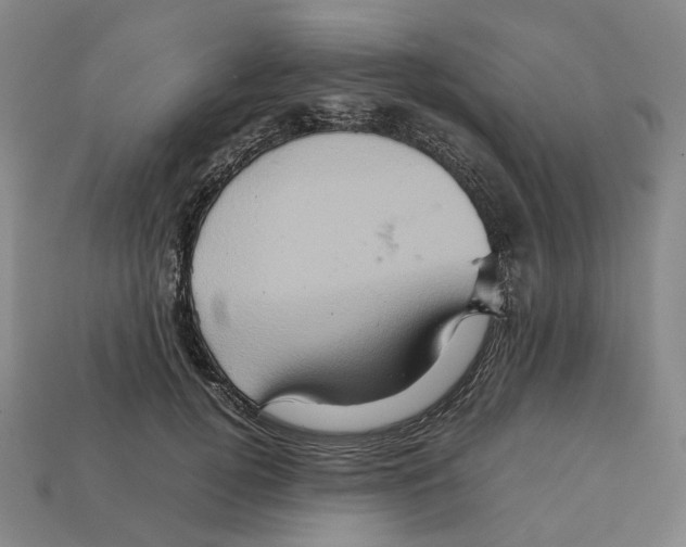 X0000111900752200909071136