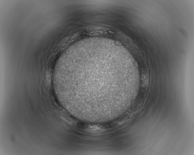 X0000111900753200909071136