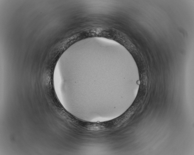 X0000111900754200909071136