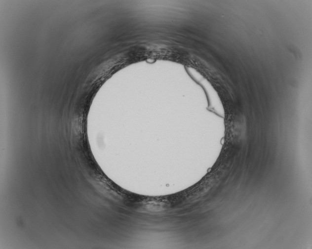 X0000111900756200909071136