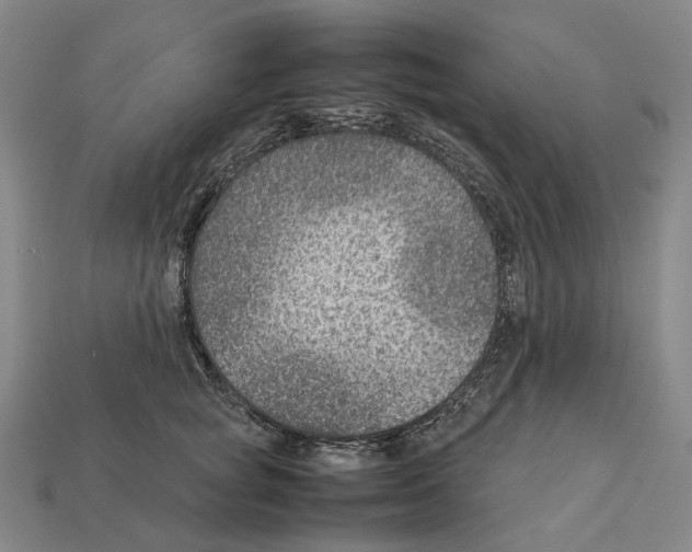 X0000111900757200909071136