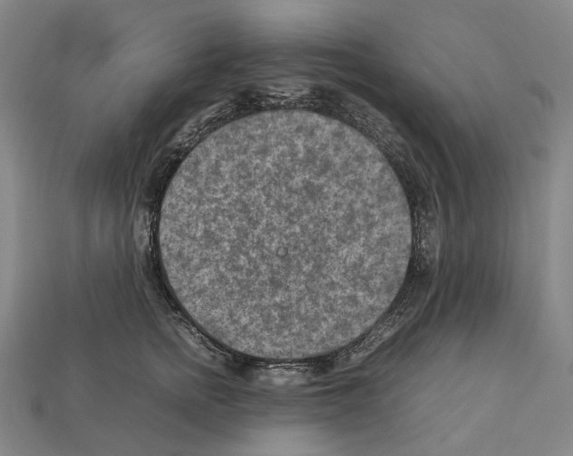 X0000111900758200909071136