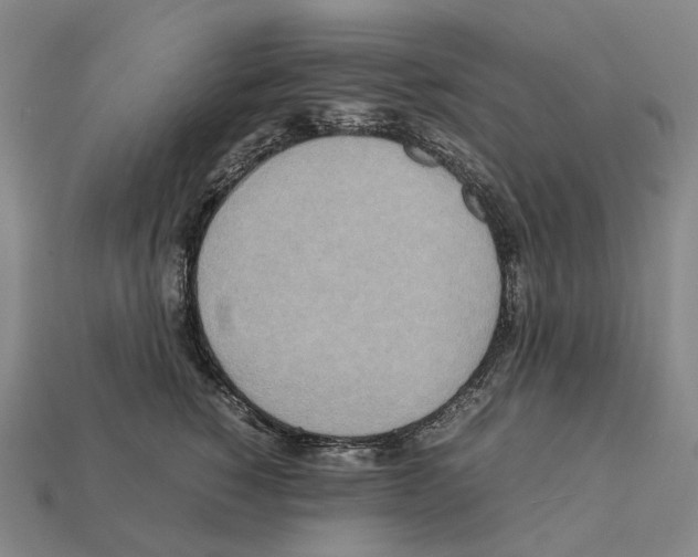 X0000111900760200909071136