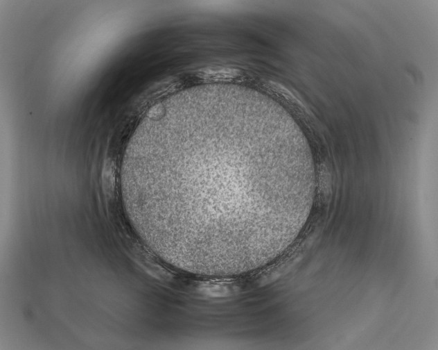 X0000111900761200909071136